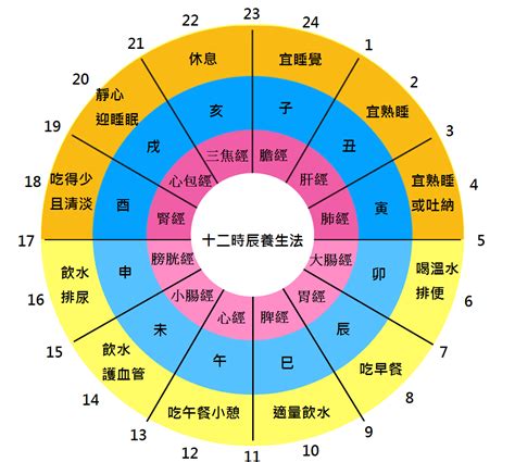 十二時辰養生對照表